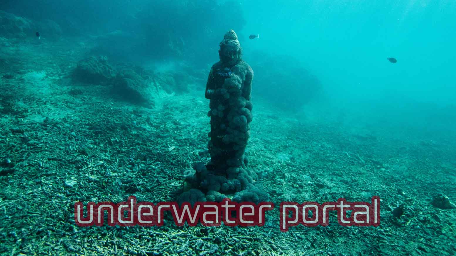 Permalink to: underwater portal